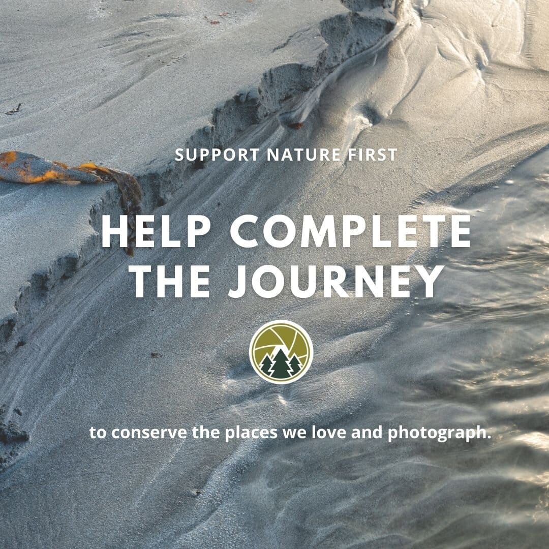 2021 Spring Newsletter - Nature First