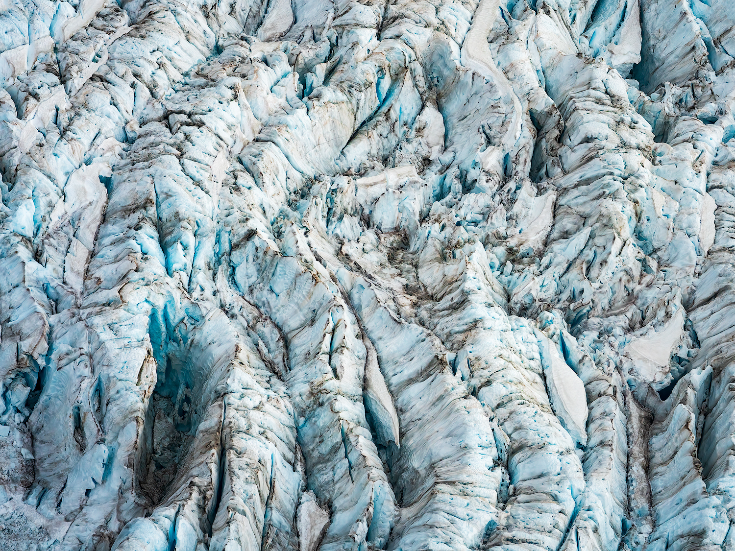 Fox Glacier, New Zealand - photo by Madeleine Lenagh